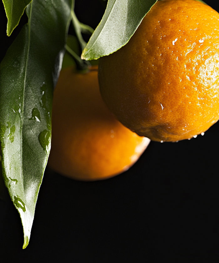 Mandarine