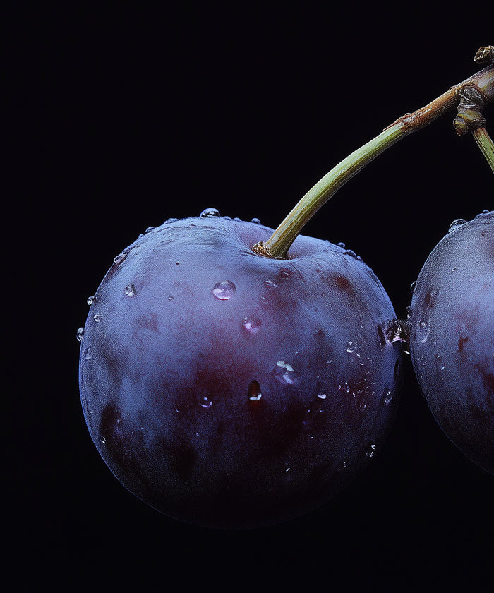 Plum