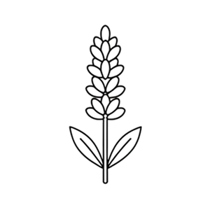 Lavendel - Atelier Rebul