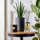 Hemp Leaves Geurkaars 210g - Atelier Rebul